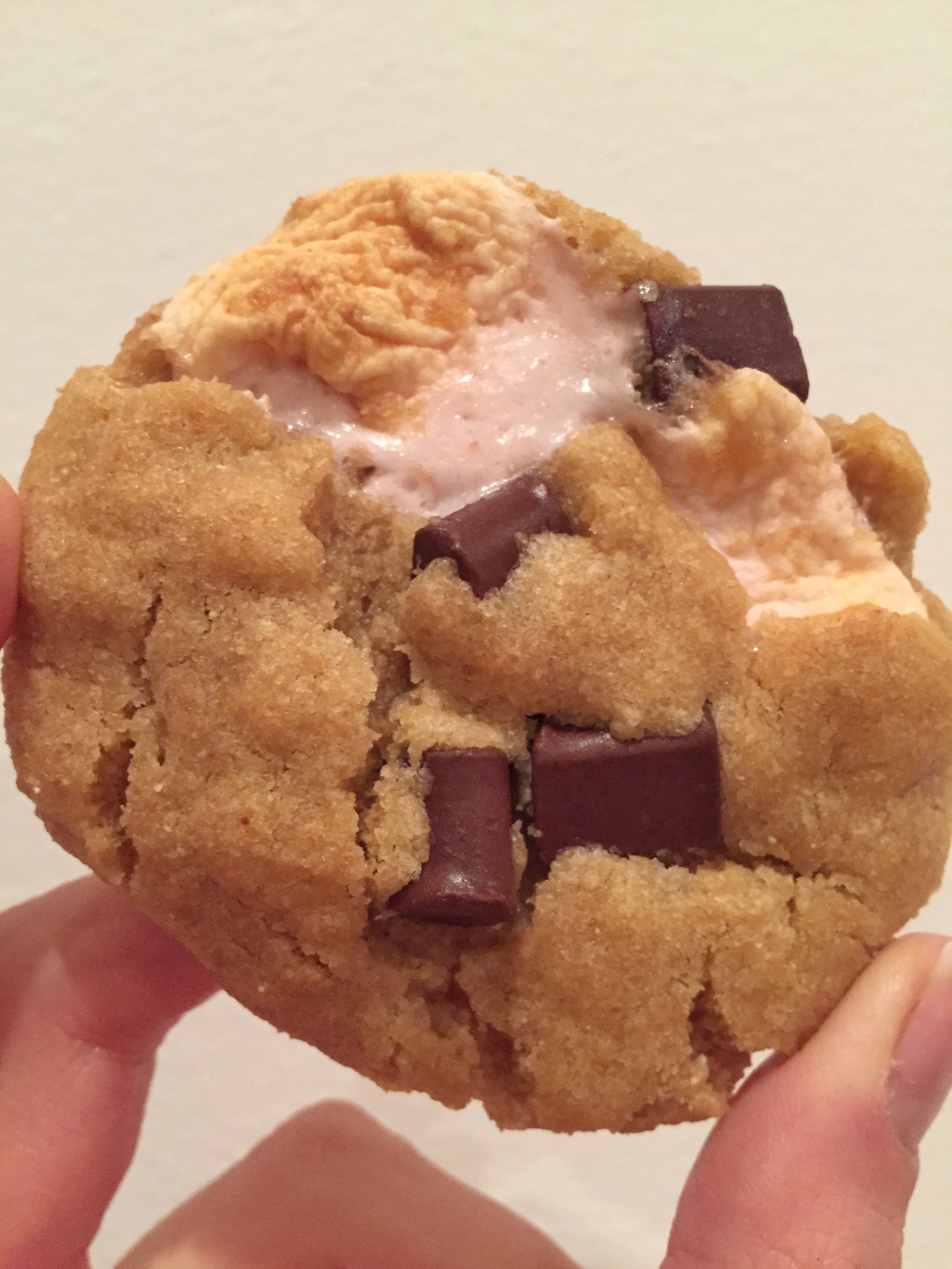 Peppermint Hot Chocolate Cookies